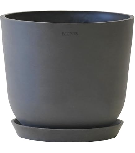 Amazon.co.jp: ECOPOTS キャスター付き 鉢皿 Amsterdam 外径34.1cm